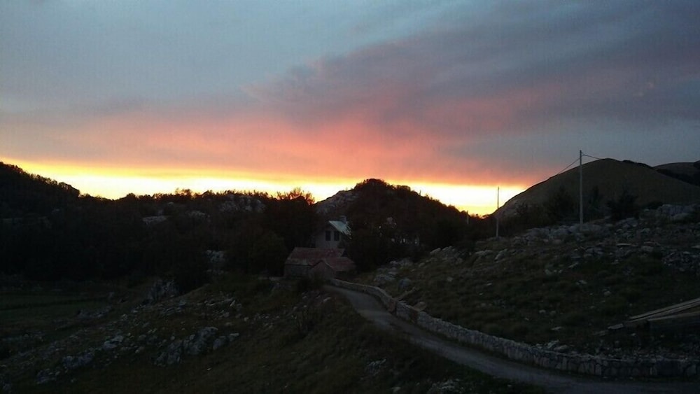 Photo 43