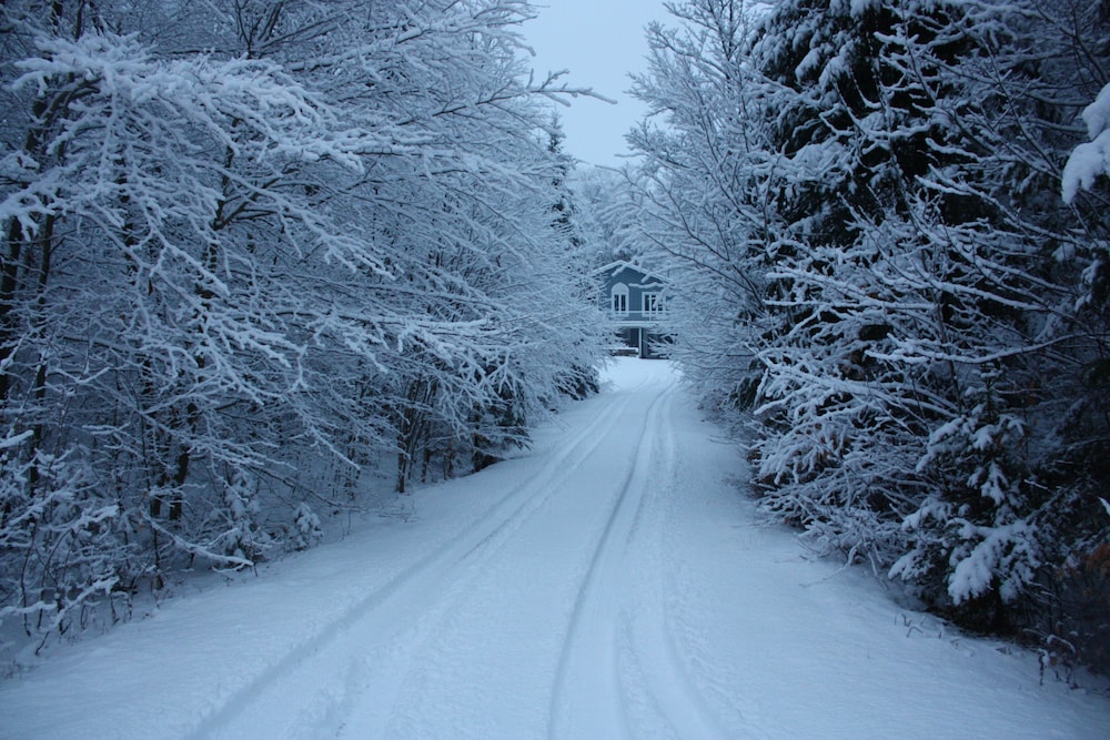 Chalets & Studios Le Vent du Nord