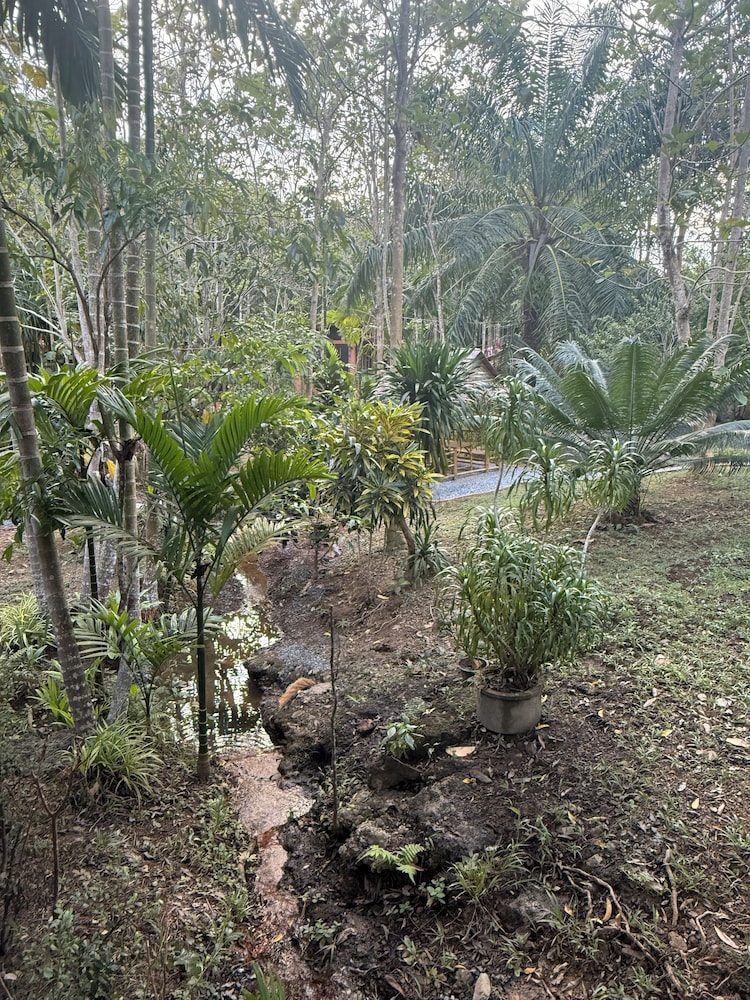 Echo Samadhi