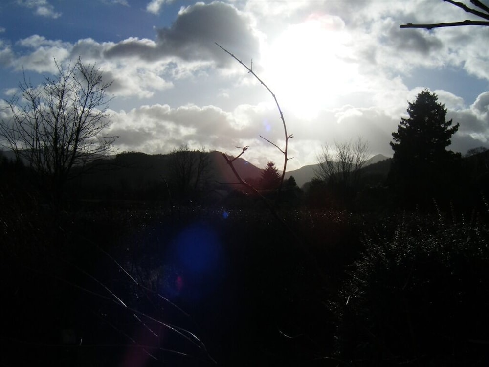 Photo 33