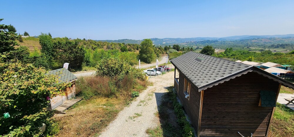 Photo 21
