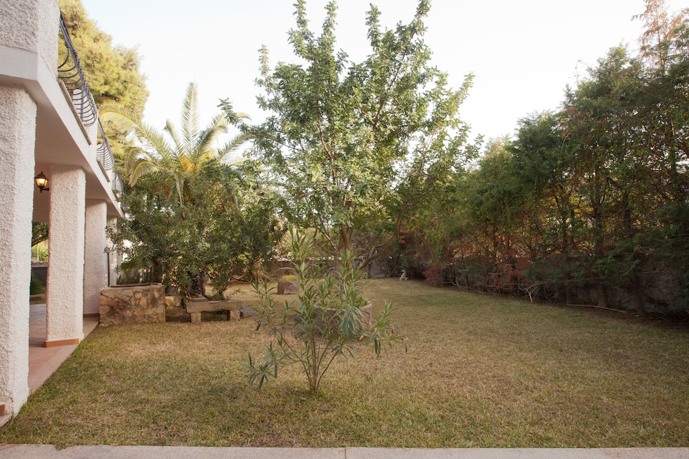 Photo 25
