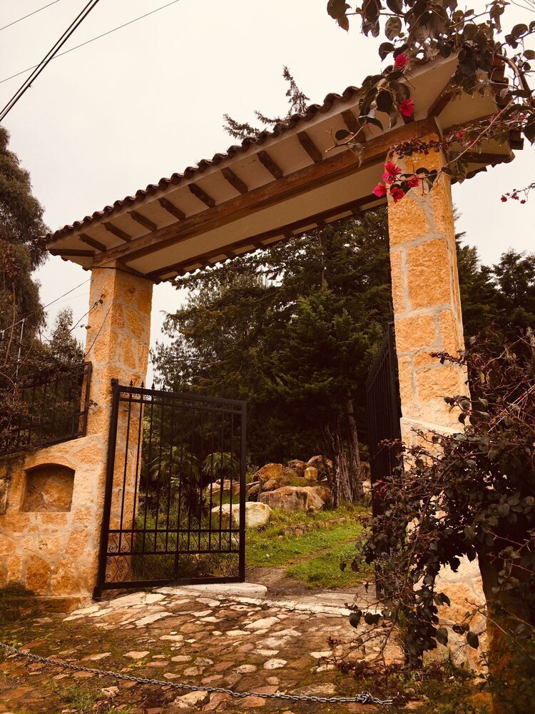 Photo 19