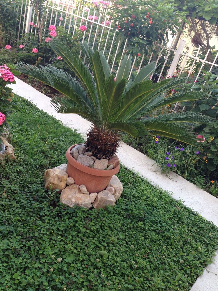Photo 20