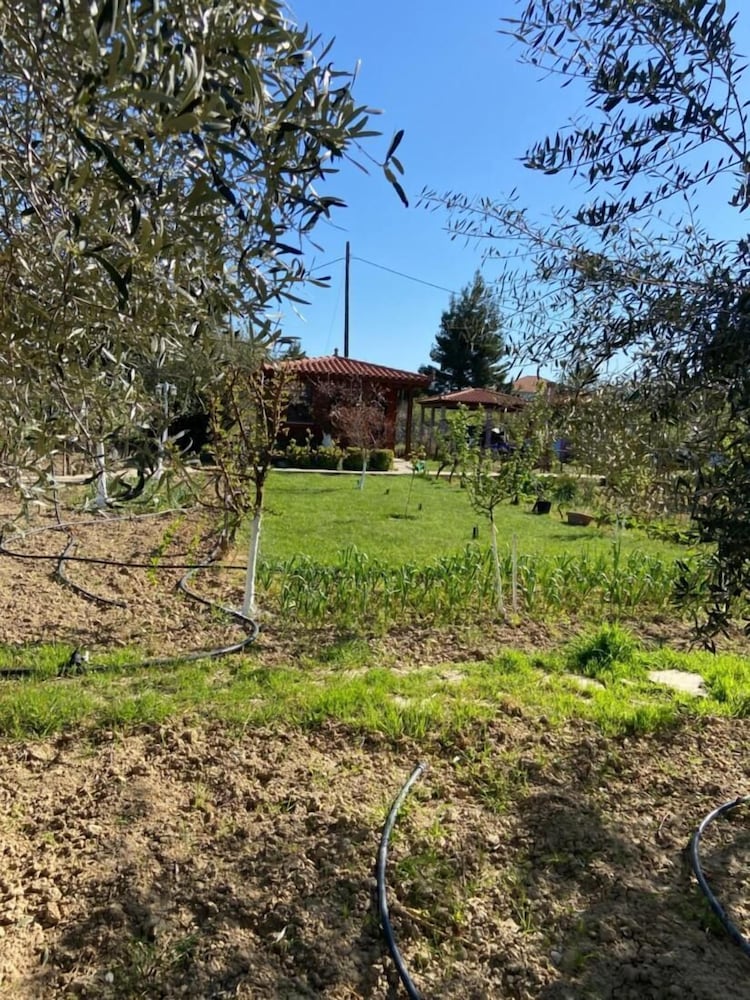 Villa Lilandion Luxury and Privacy, photo 35