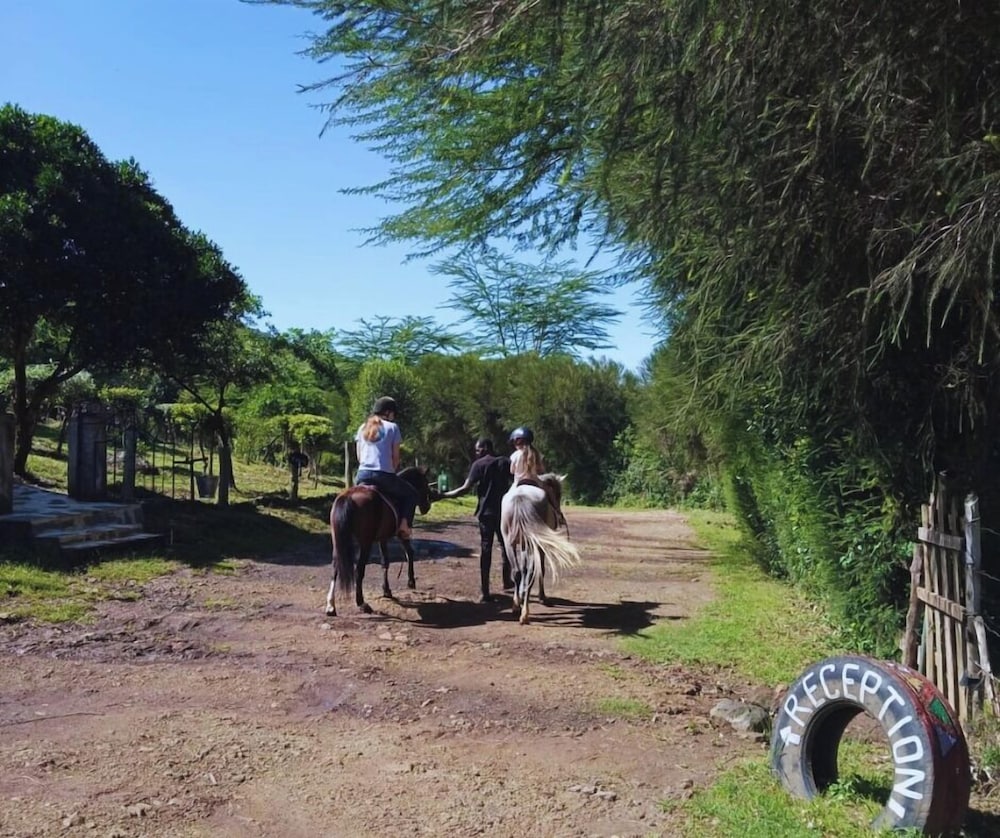 Lemon Valley Farm Elmenteita