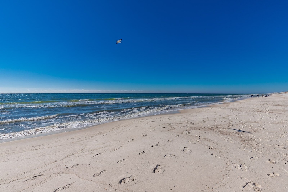Gulf Shores Surf & Racquet 502b 2 Bedroom Condo