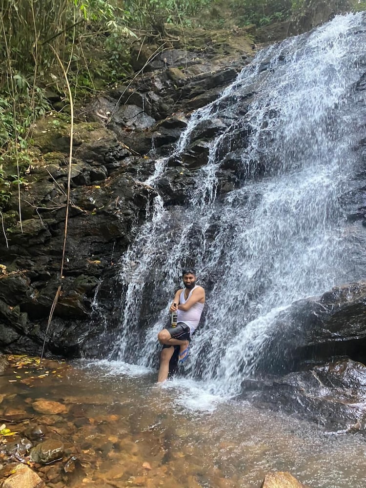 Coorg Tree House