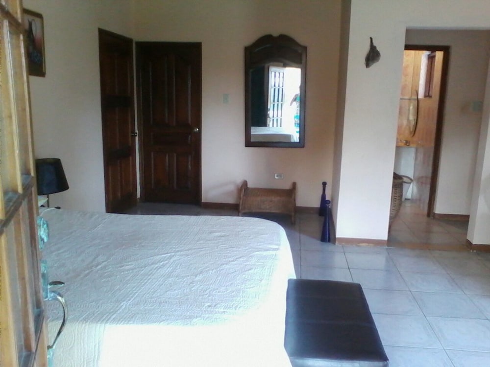 Port Antonio Vacations - Dolphin Bay Yoga Guest House - Property Image 3