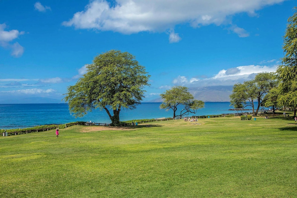 Summer Sale! Deluxe Modern Renovation, Split-ac, Kamaole Sands 4-411, Book Now!