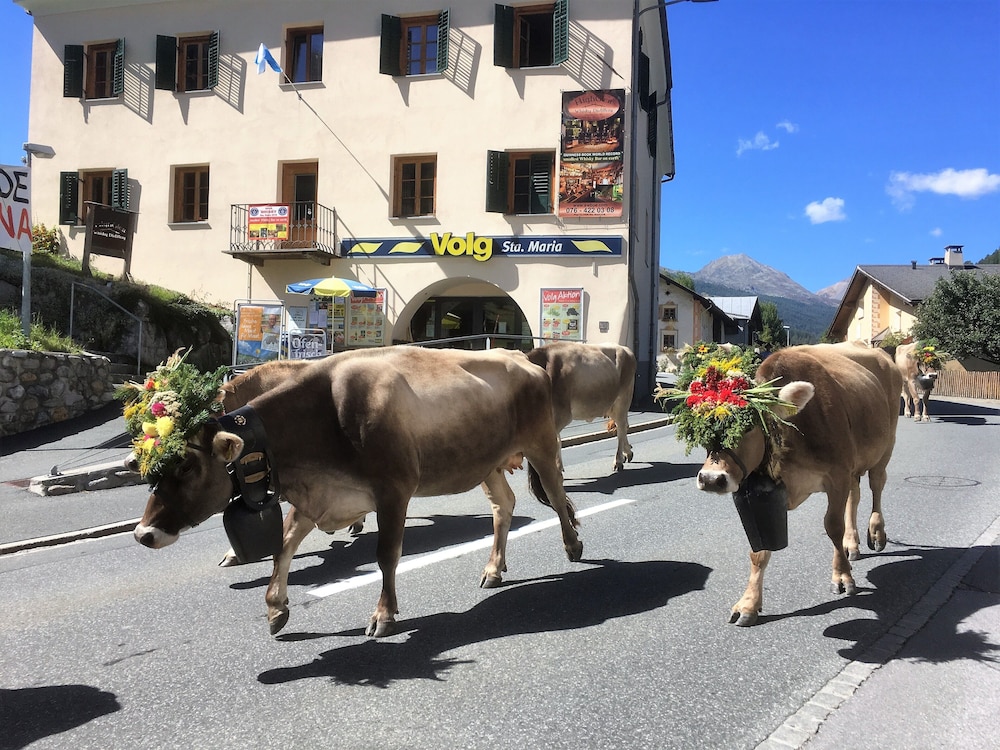 Villa Stelvio Bed & Breakfast