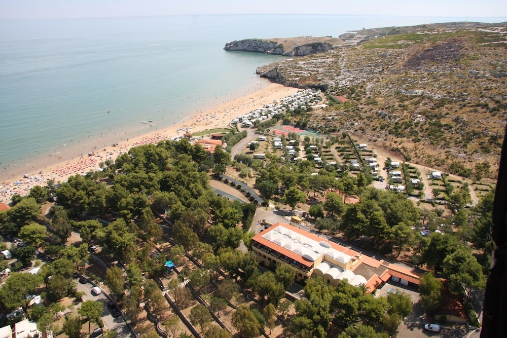 Photo 247