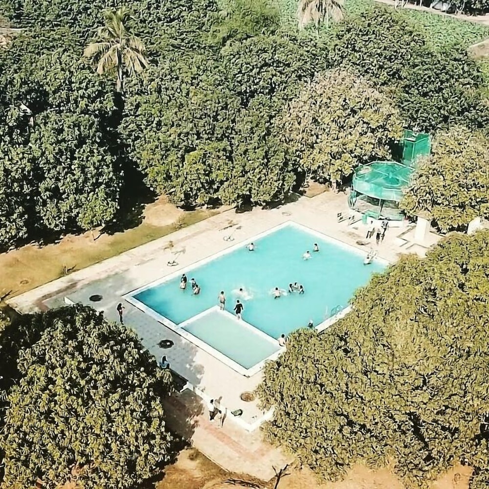 Camp Dilly