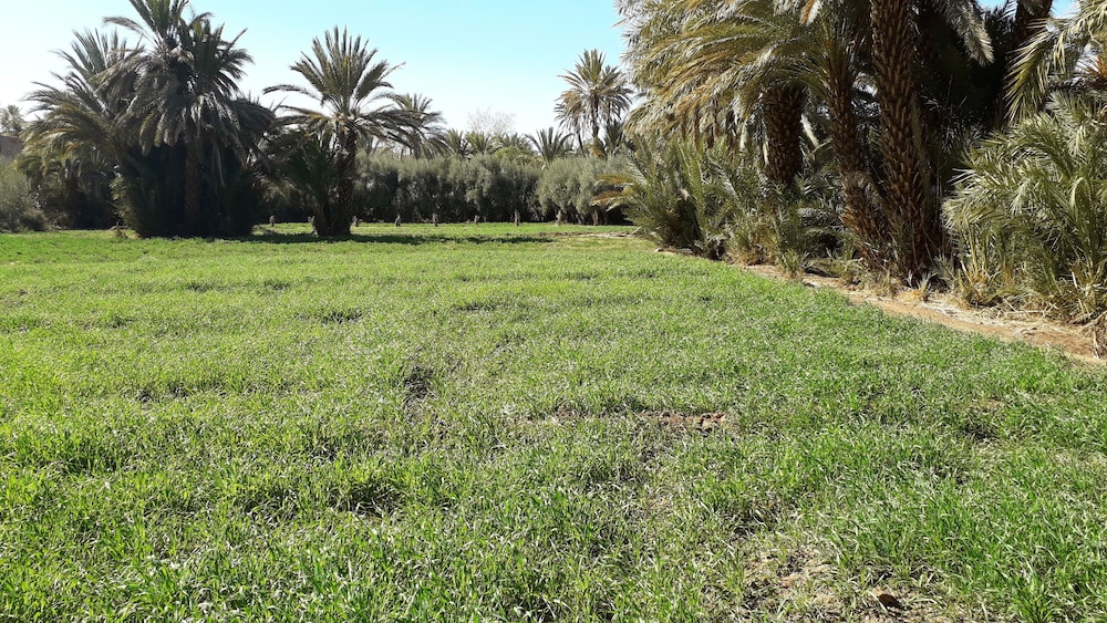 Riad Sarayas