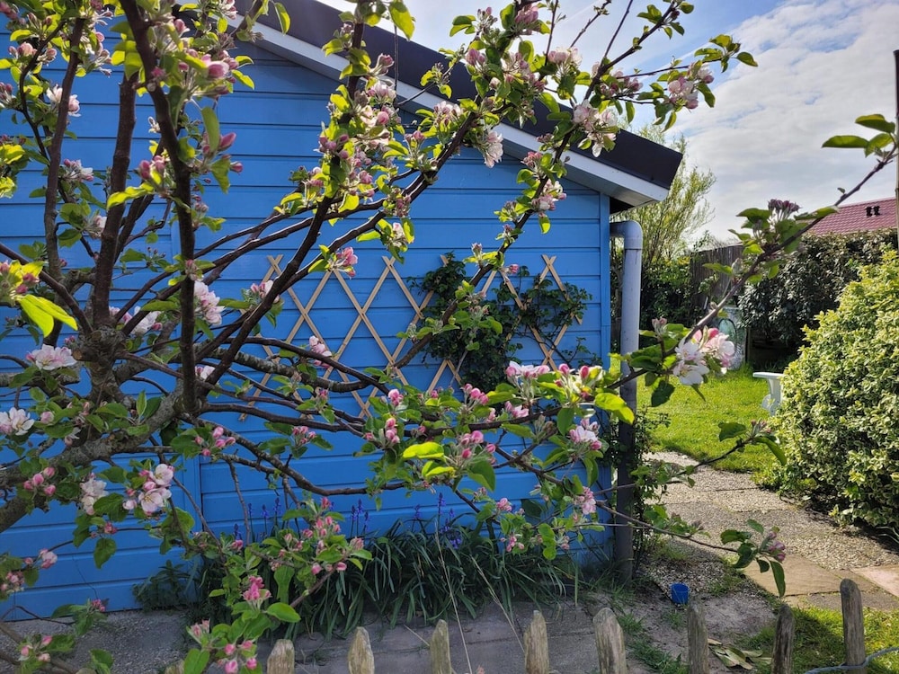 Attractive Bungalow Near Beach, Dunes