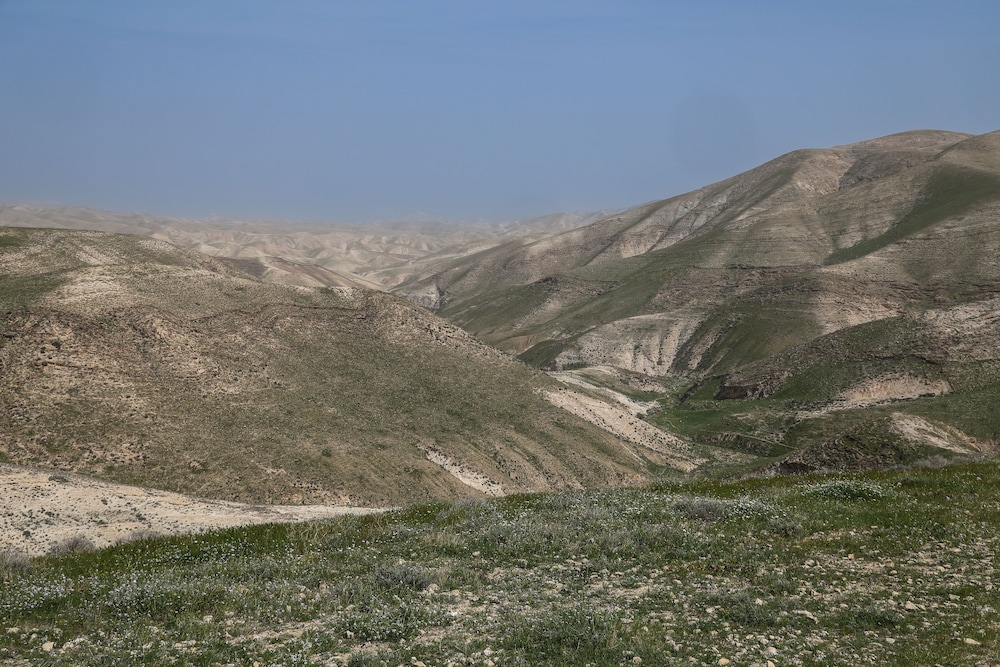 Photo 37