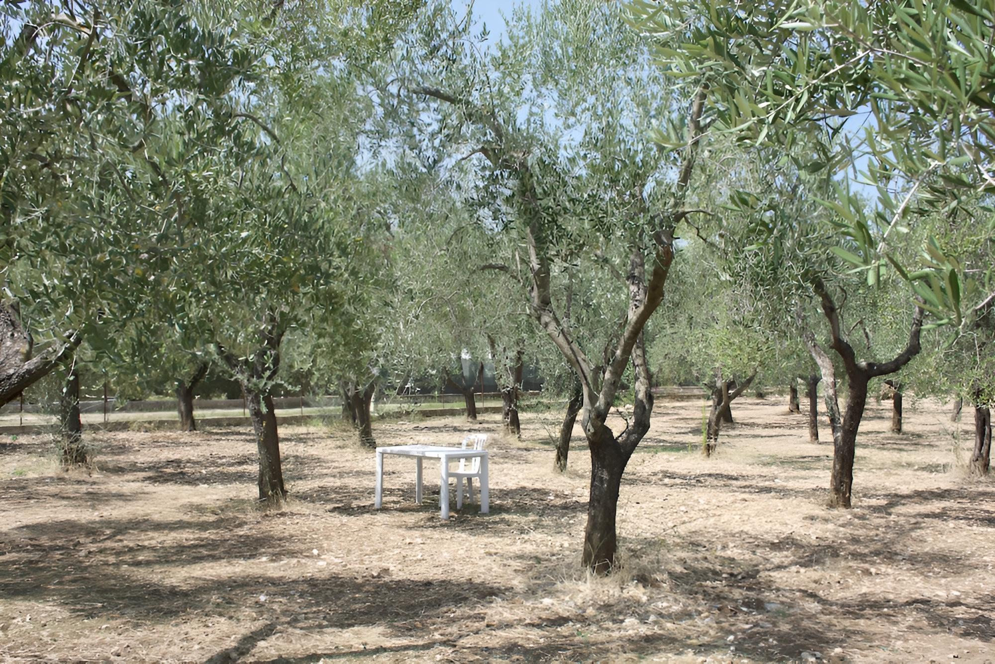 Appartamenti Posta del Sole