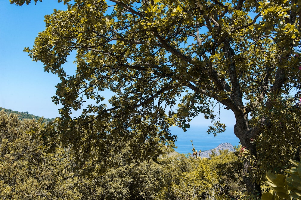 Villa Gibilmanna view 4