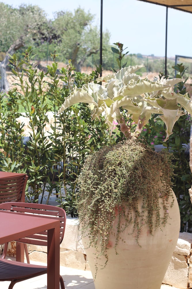 POGGIO LEANO photo 3