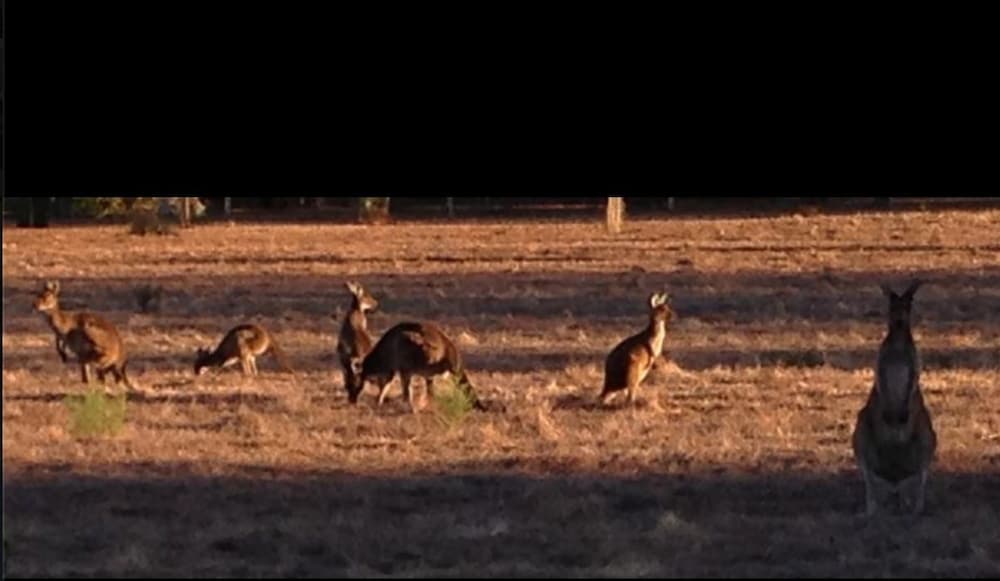 Busselton Guest House