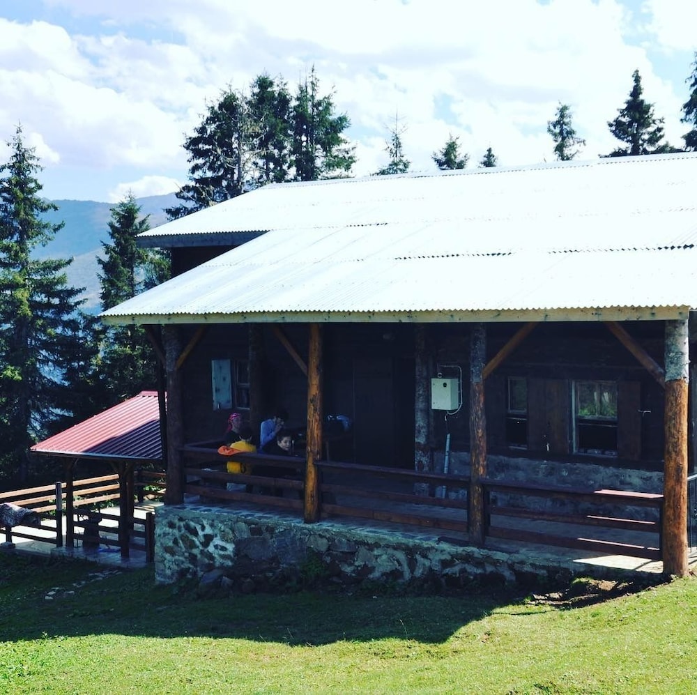 Tanevit Dag Evi