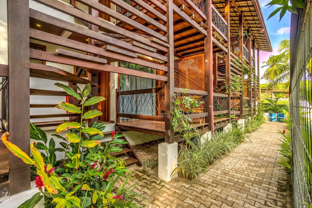 Paradiso Flat