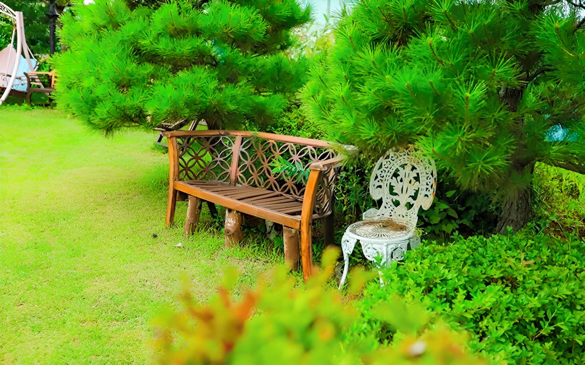 Pyeongchang Beautiful Pension view 5