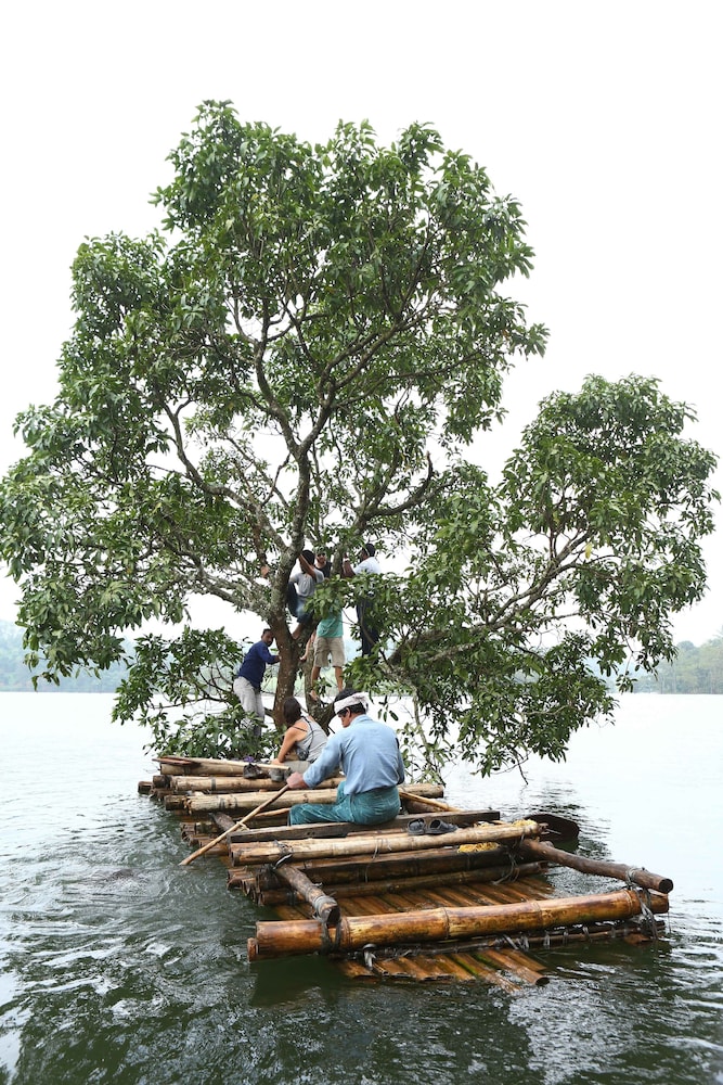 Arayal Resorts: A Unit of Sharoy Resort, Wayanad