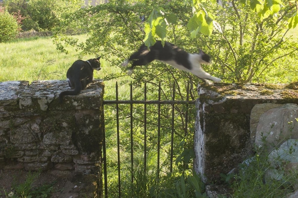 Château de Canac, photo 15