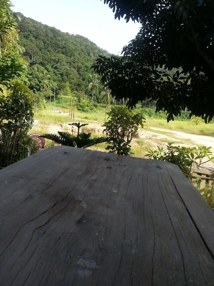 The Tree Madauwan