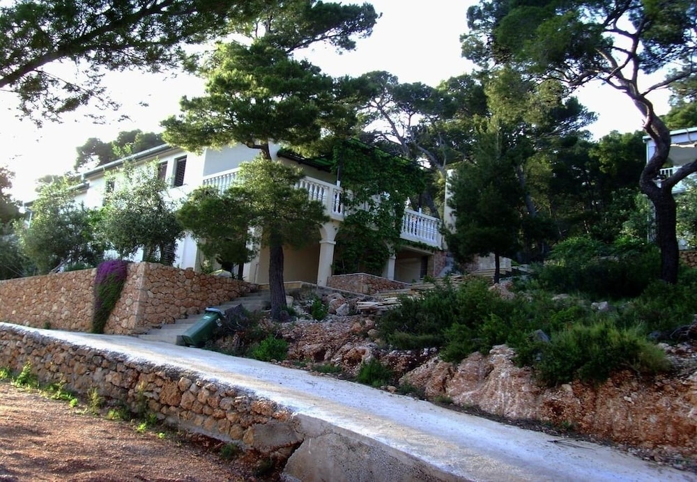 Photo 12