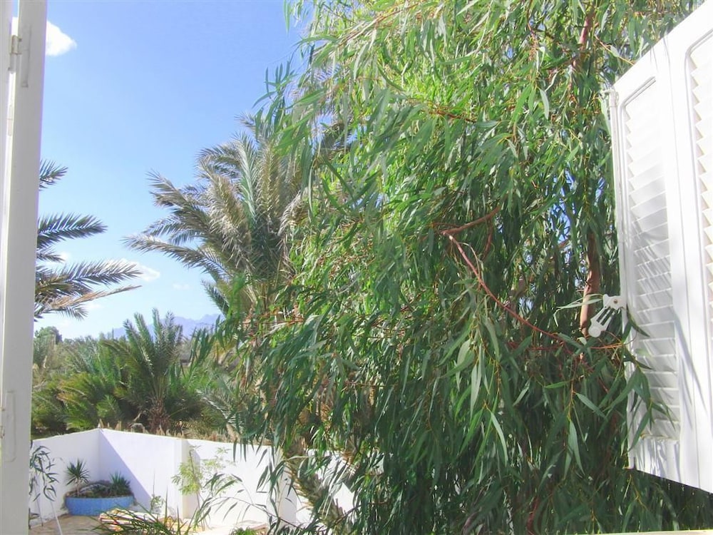 Photo 29