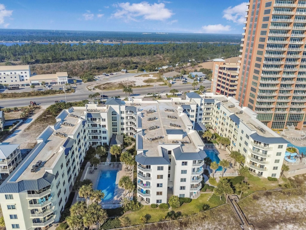 Palm Beach C21
