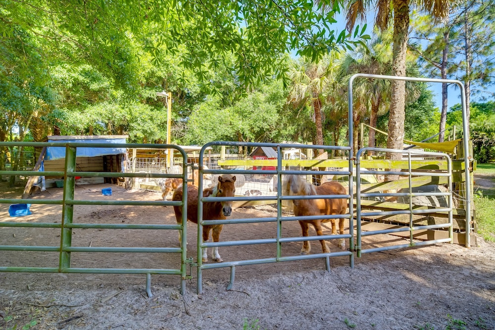 Vero Beach Vacations - Cozy Fort Pierce Cottage on Farm Animal Rescue! - Property Image 15