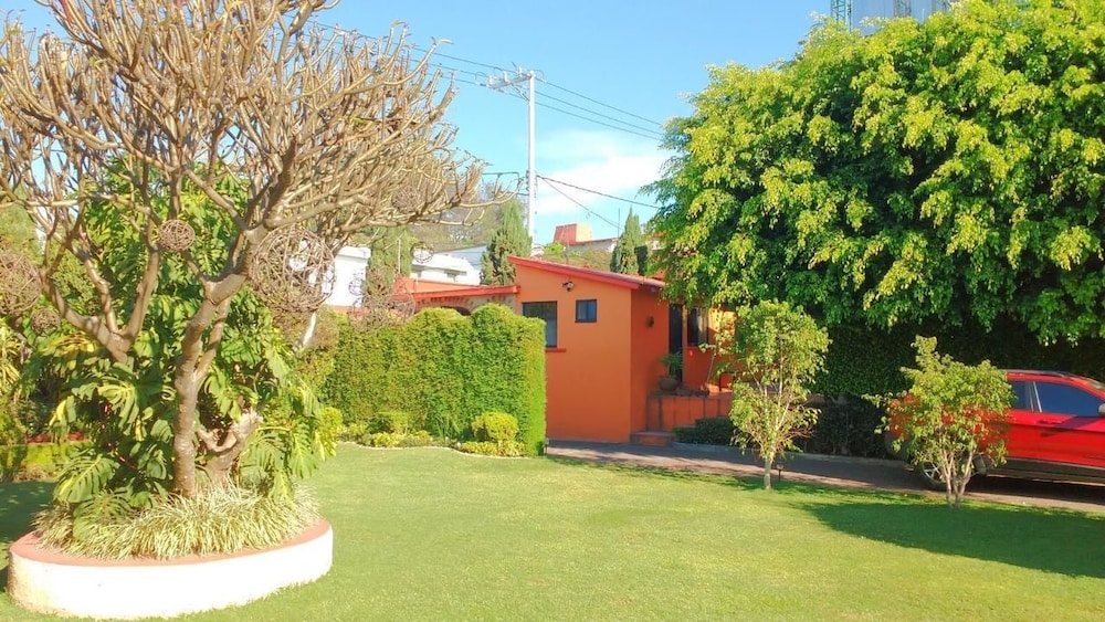 Photo 11
