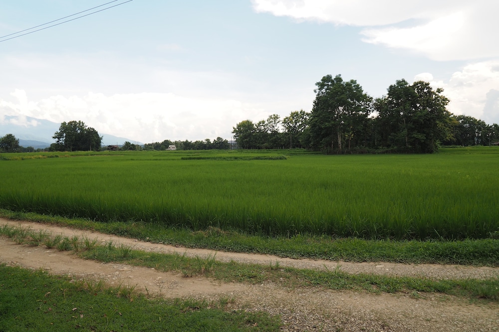 Phu Resort