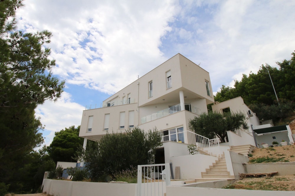 Photo 11