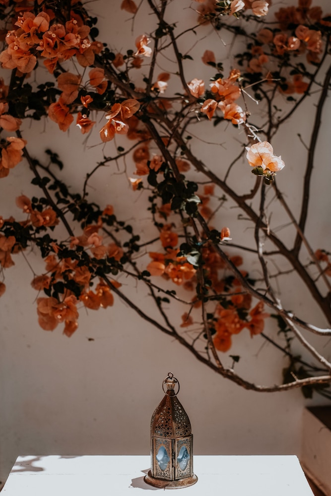 Casa Morgado's Boutique Guesthouse