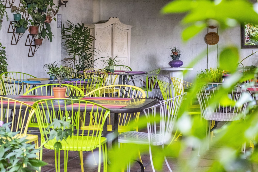 Árbol de Fuego Eco-hotel, a green experience in the city
