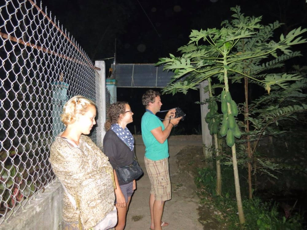 My Hoa Mekong Homestay