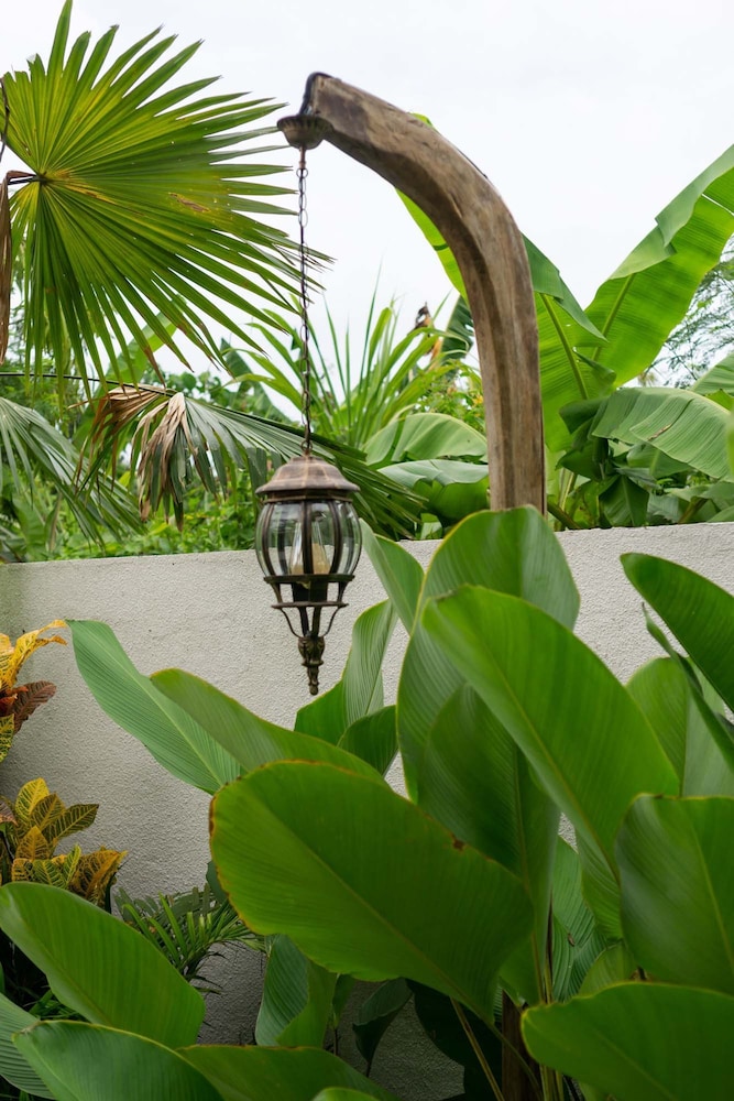 Villa Chempaka by Alfred in Bali - New Luxe Tropical 4BR Dream Villa in Canggu