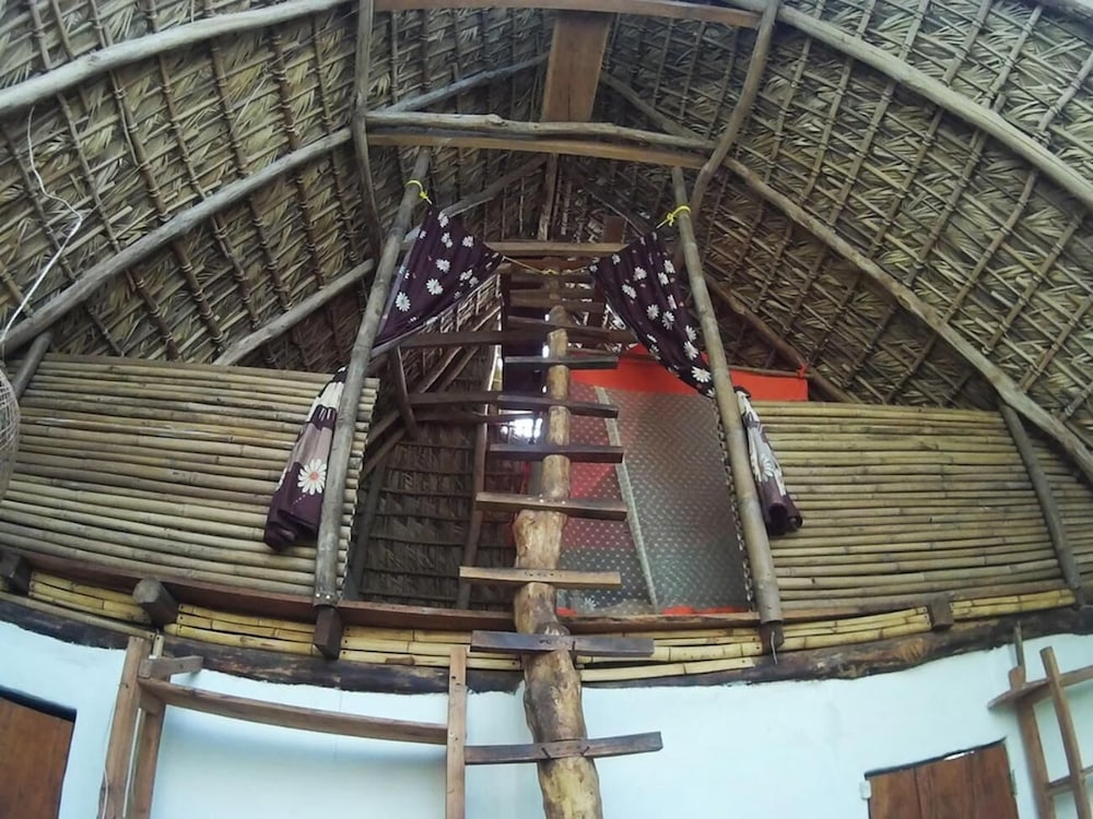 El Zopilote - Hostel