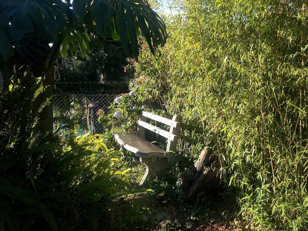 Andrews Hostel