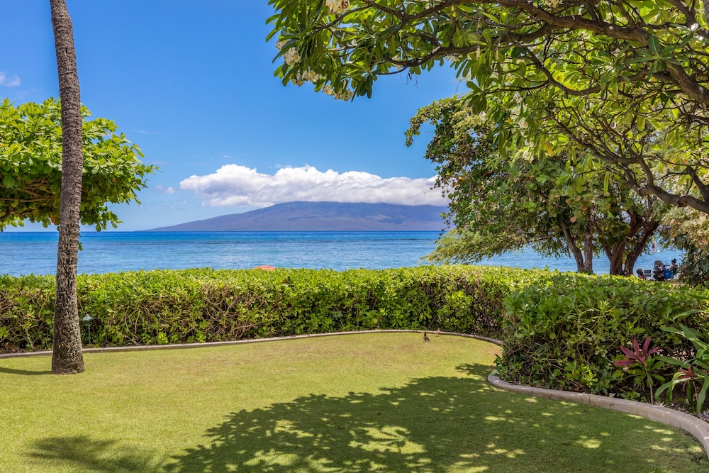 Puunoa  - CoralTree Residence Collection