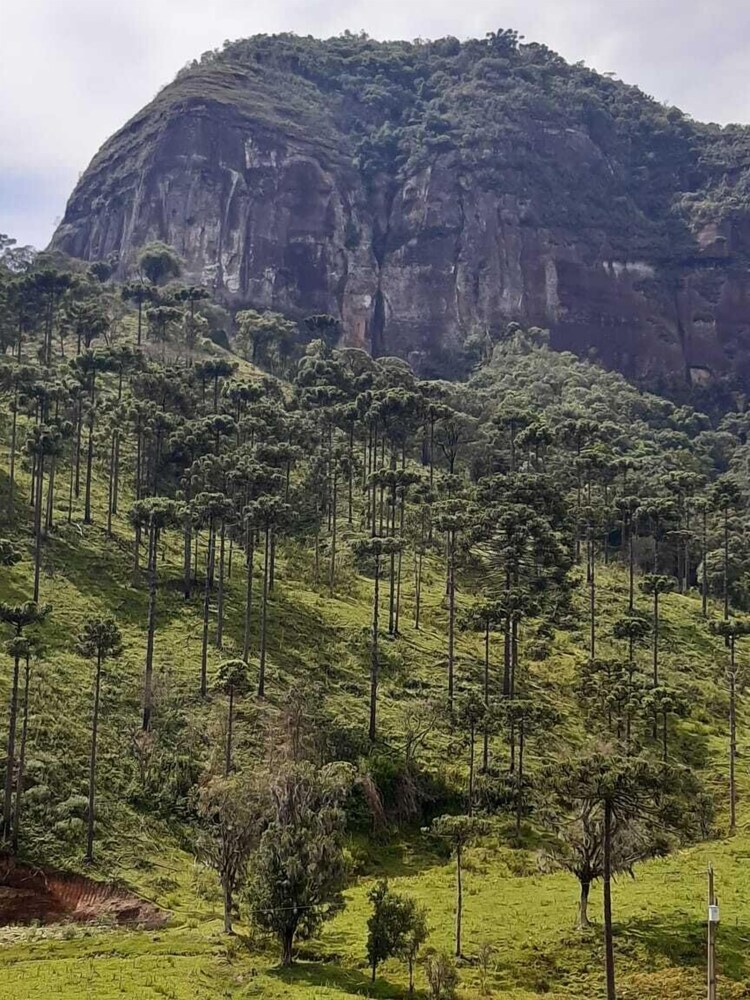 Eco Cabanas Kaapuã