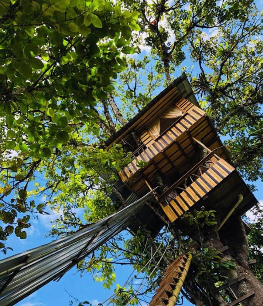 Hotel El Edén Treehouse - Image 1