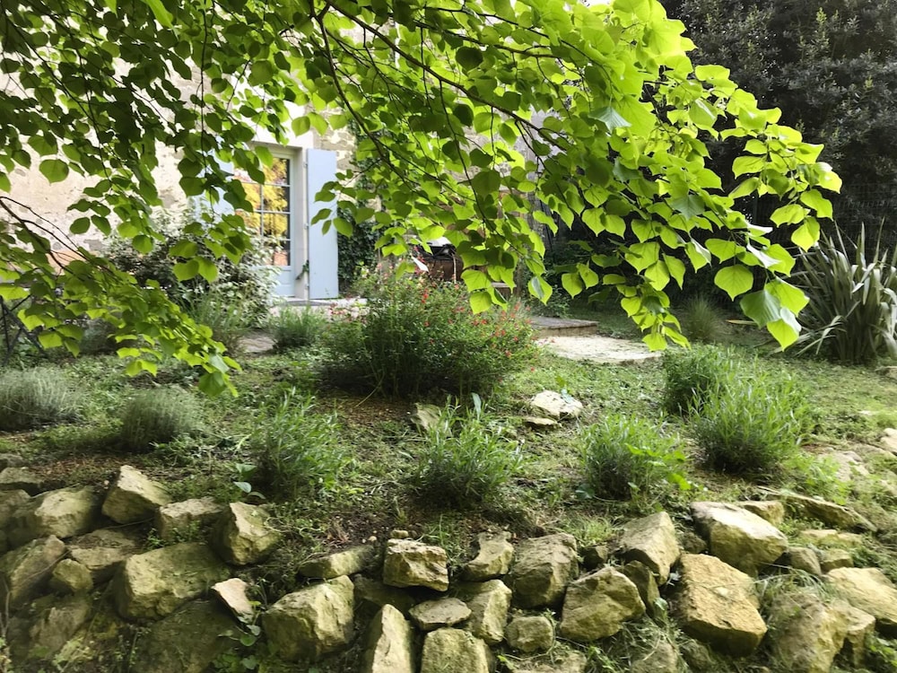 Photo 46