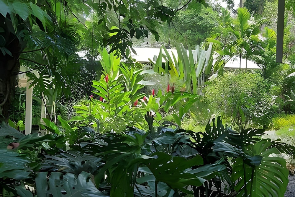 Casa Naranja