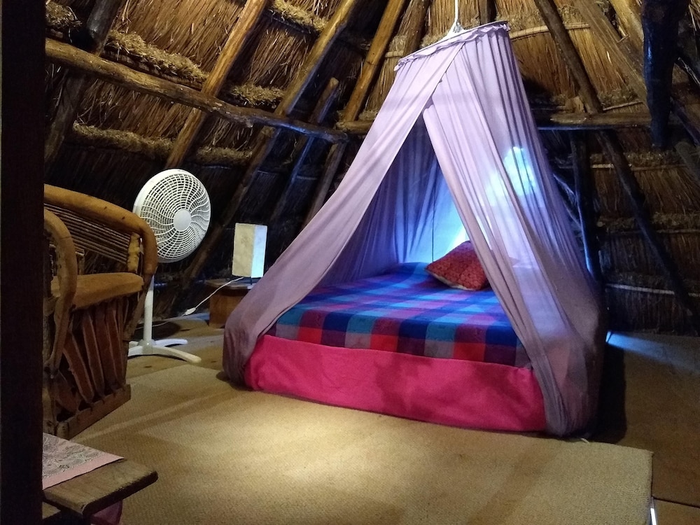Casitas Kinsol