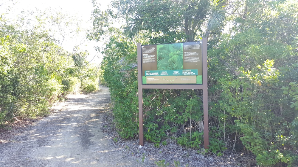 Photo 44